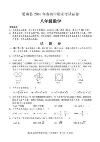 2019-2020学年度湖北咸宁通山县八年级下数学期末考试题（PDF版无答案）