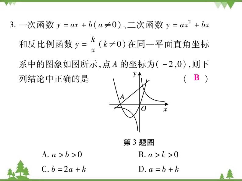 小专题3 反比例函数与二次函数的综合.pptx04