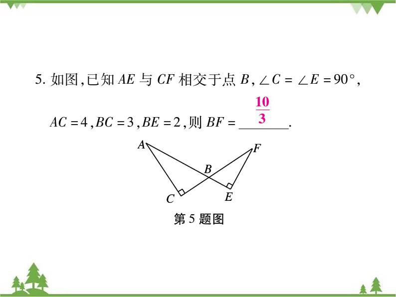 小专题4 相似三角形的基本类型.pptx第6页