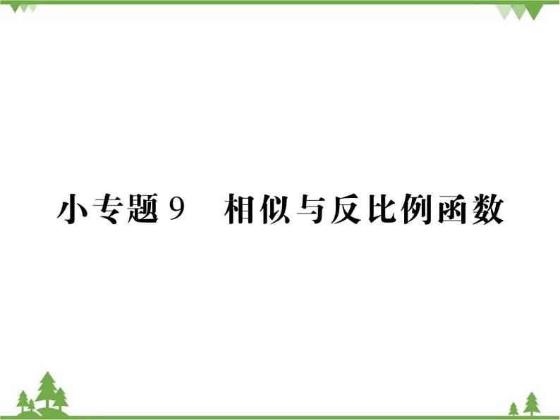 小专题9 相似与反比例函数.pptx第1页