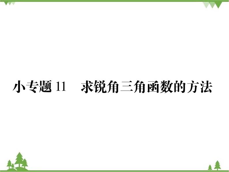 小专题11 求锐角三角函数的方法.pptx01