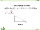 小专题11 求锐角三角函数的方法.pptx