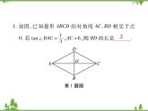 小专题13 三角函数与(特殊)平行四边形的综合.pptx