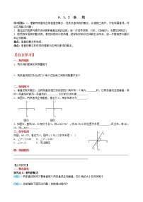 初中数学人教版七年级下册5.1.2 垂线学案及答案