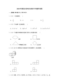 2020年黑龙江省哈尔滨市中考数学试卷