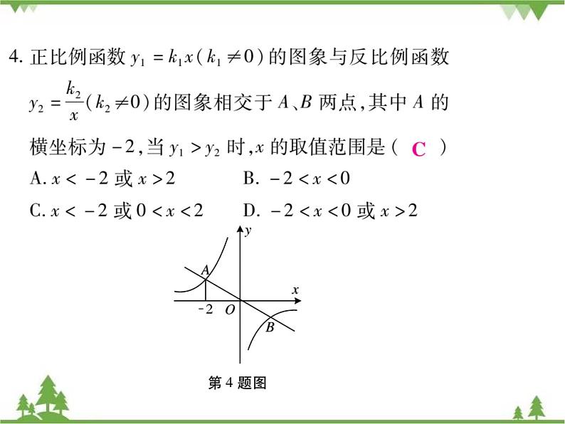 2021年春人教版九年级数学下册第26章《反比例函数》26.1.2 反比例函数的图象和性质PPT课件08