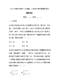 2021年春初中数学（人教版）七年级下册课时作业：数学文化专题