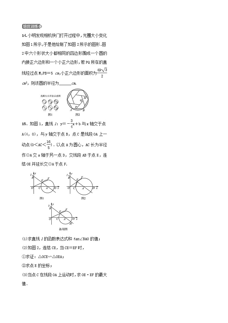 第六章圆第一节圆的基本性质 试卷03