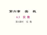 6.3 第1课时 实数 课件