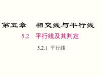 初中数学5.2.1 平行线完美版ppt课件