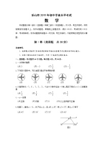 2019四川省乐山市初中学业水平考试数学试题(含答案）