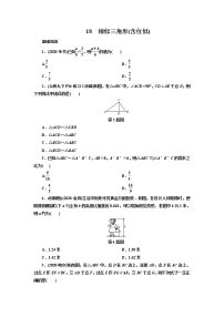 2021年九年级中考数学一轮复习18　相似三角形(含位似)（通用版）