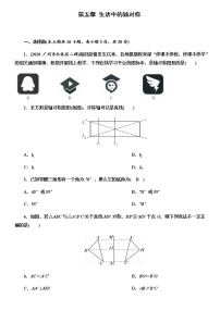 北师大版七年级下册第五章  生活中的轴对称综合与测试精品单元测试达标测试