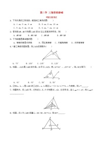 中考数学复习第四章几何初步与三角形第二节三角形的基次前诊断测试（含答案）