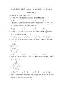 2018-2019学年河南省漯河市临颍县九年级上期末模拟考试数学试题（含答案解析）