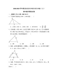 2018-2019学年黑龙江省齐齐哈尔市讷河市九年级上期中数学模拟试卷