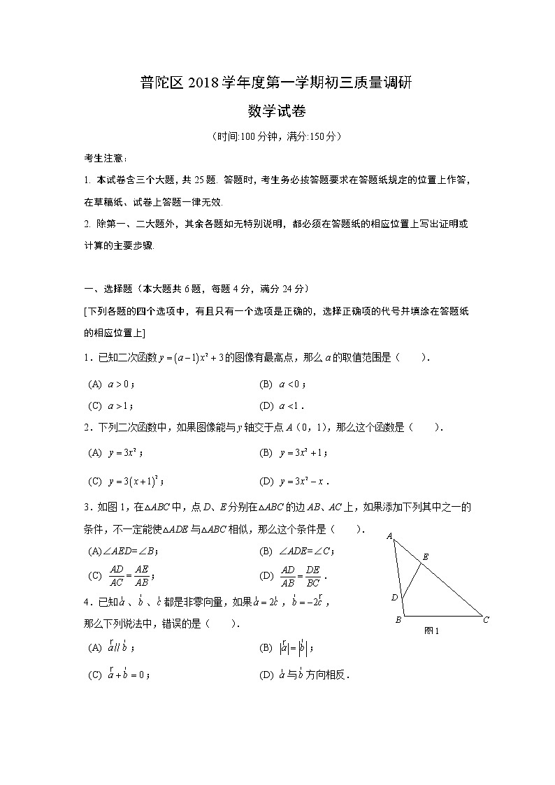 2019上海中考数学普陀区初三一模 试卷01