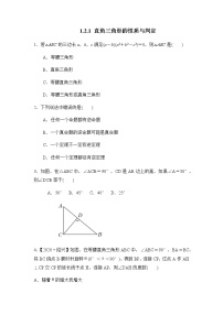 北师大版八年级下册2 直角三角形精品测试题