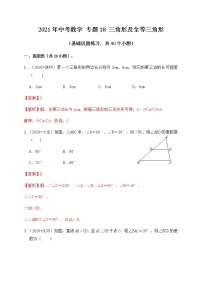 专题18三角形及全等三角形（基础巩固练习）-2021届中考数学一轮复习（原卷+解析）