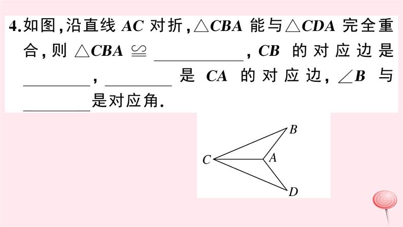 2019秋八年级数学上册第14章全等三角形14-1全等三角形习题课件（新版）沪科版05