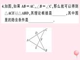 2019秋八年级数学上册第14章全等三角形14-2三角形全等的判定2两角及其夹边分别相等的两个三角形习题课件（新版）沪科版