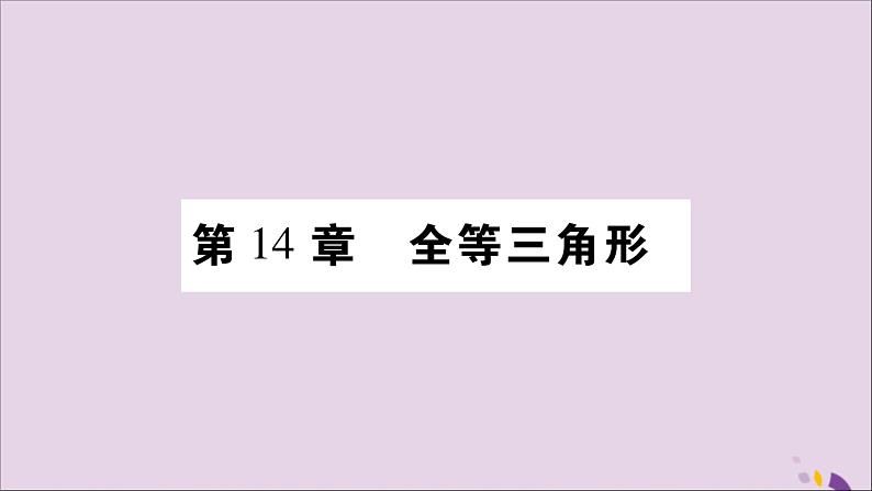 八年级数学上册第14章全等三角形14-1全等三角形习题课件（新版）沪科版01