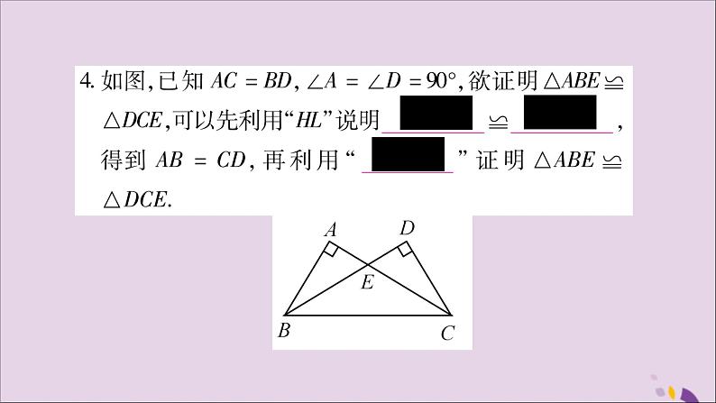 八年级数学上册第14章全等三角形14-2三角形全等的判定14-2-5两个直角三角形全等的判定习题课件（新版）沪科版05