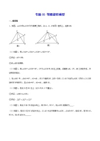 中考数学几何模型加强版 模型05 等腰旋转模型