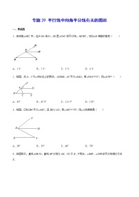 中考数学几何模型加强版 模型29 平行线中和角平分线有关的图形