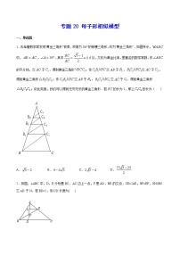 中考数学几何模型加强版 模型20 母子形相似模型