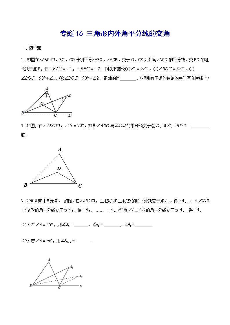 中考数学几何模型加强版 模型16 三角形内外角平分线的交角 试卷01