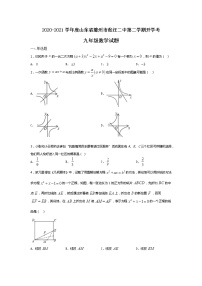 2020-2021学年度山东省滕州市张汪二中第二学期开学考九年级数学试题(无答案）