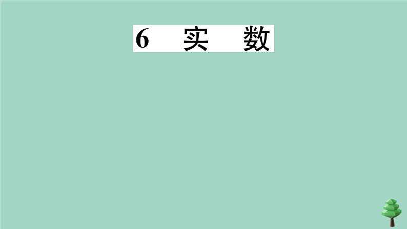 2020秋八年级数学上册第二章《实数》2-6实数作业课件（新版）北师大版01