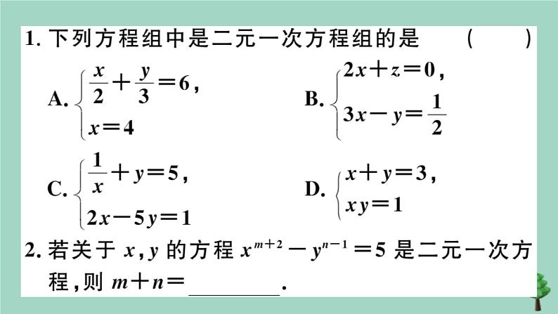 2020秋八年级数学上册第五章《二元一次方程组》5-1认识二元一次方程组作业课件（新版）北师大版03