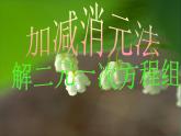 八年级上册数学课件《加减法解二元一次方程组》(4)_北师大版