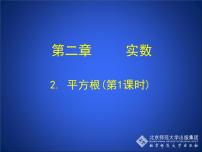 数学八年级上册2 平方根精品课件ppt