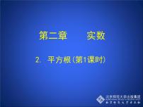 北师大版八年级上册2 平方根试讲课课件ppt