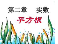 初中数学北师大版八年级上册2 平方根精品ppt课件