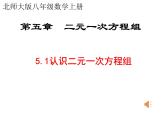 八年级上册数学课件《认识二元一次方程组》(3)_北师大版