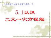 八年级上册数学课件《认识二元一次方程组》(1)_北师大版