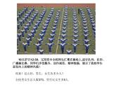 八年级上册数学课件《认识二元一次方程组》(2)_北师大版