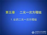 八年级上册数学课件《认识二元一次方程组》(8)_北师大版