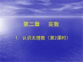 八年级上册数学课件《认识无理数》  (1)_北师大版