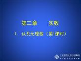 八年级上册数学课件《认识无理数》  (2)_北师大版
