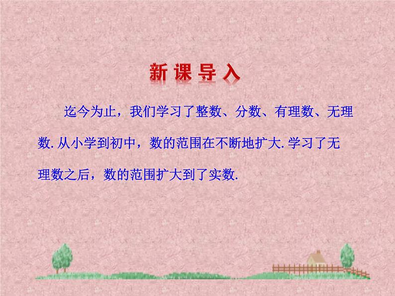 八年级上册数学课件《实数》   (1)_北师大版第3页