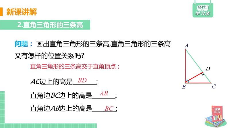 北师大版七年级数学下册 4.1.4  三角形的高线（PPT课件+教案）06