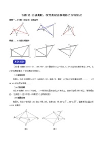 2021中考数学压轴题专项训练：击破类比、探究类综合题利器之全等知识 测试卷（含解析）