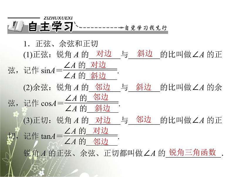 【随堂优化训练】2013年九年级数学下册 第二十八章 锐角三角函数 28.1 锐角三角函数与特殊角的三角函数值配套课件 新人教版02