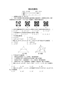 七年级数学湘教版下册期末检测卷 试卷