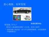 北师大版九年级下册 3.1 圆 课件